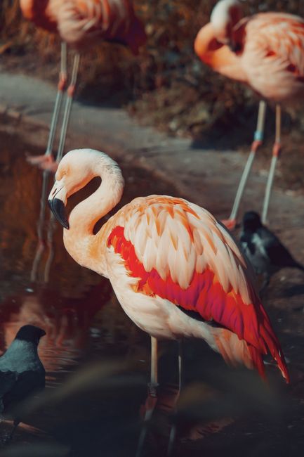 Warsaw Zoo