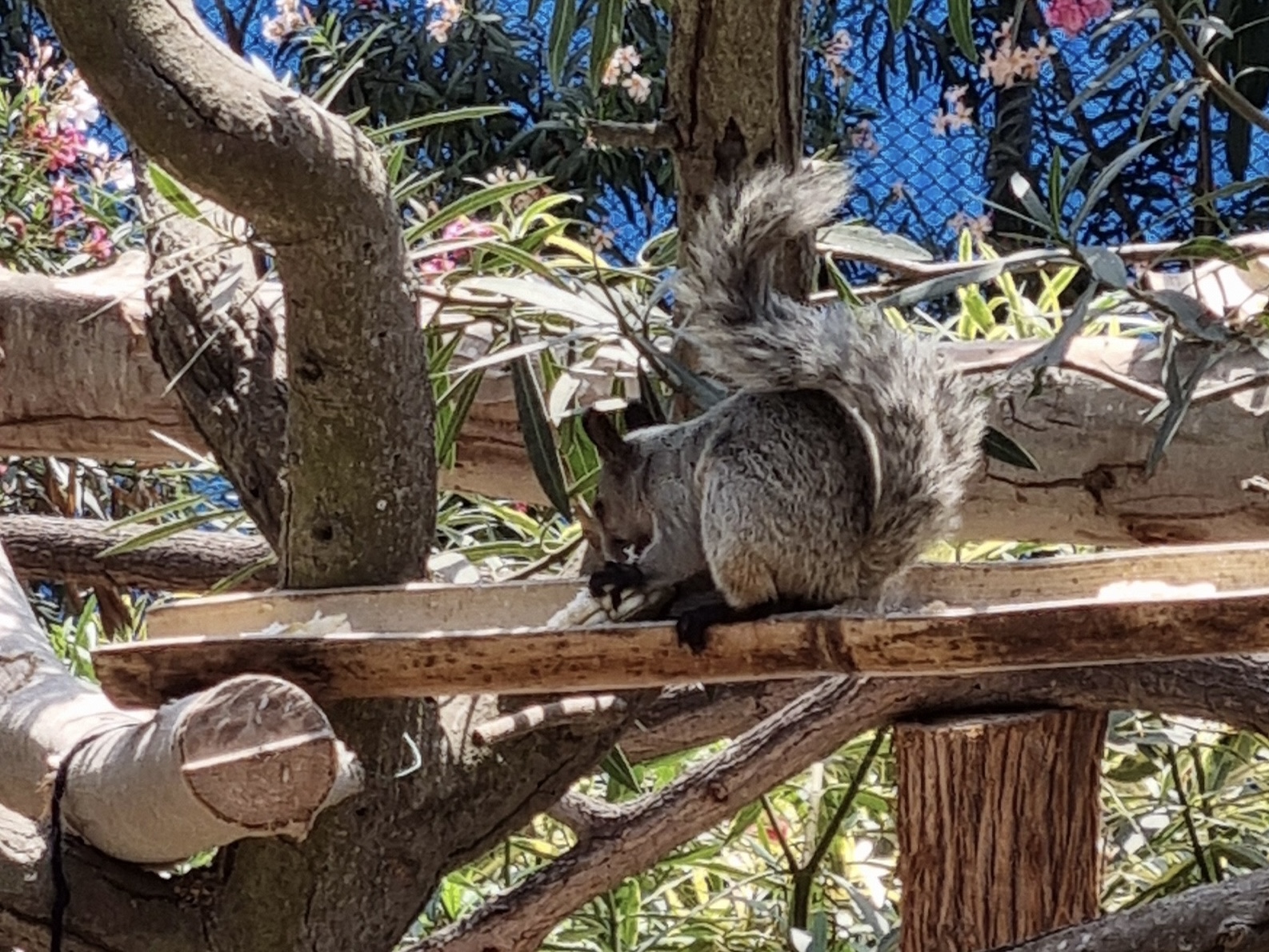 Brussels Zoo