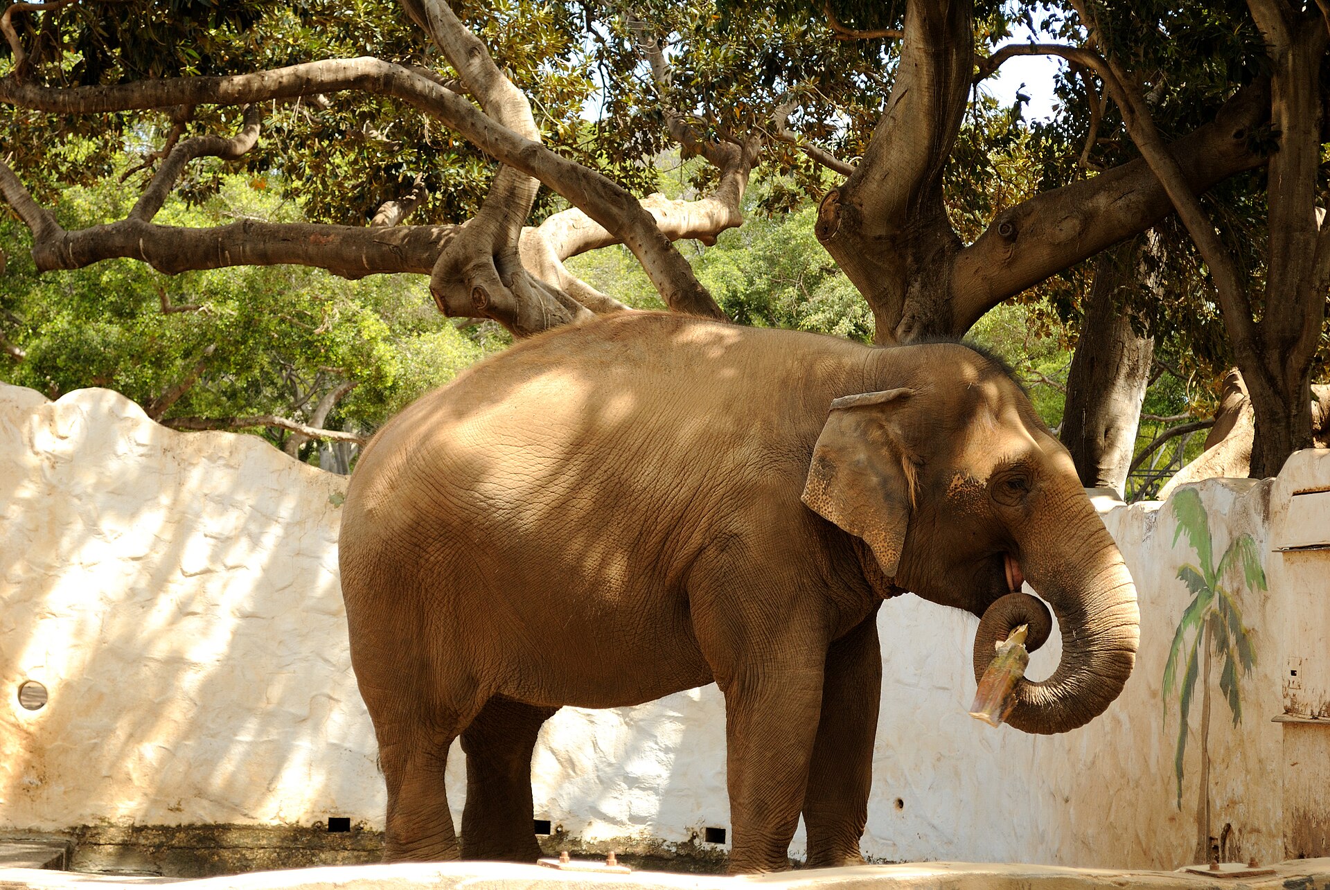 Zoológico de Morelia