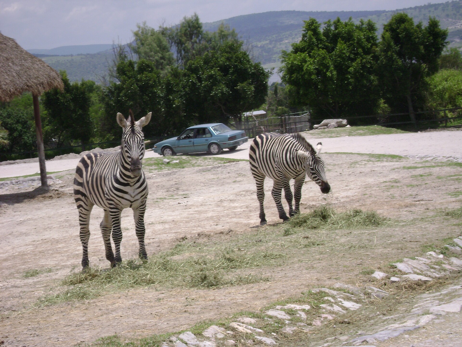 Badoca Safari Park