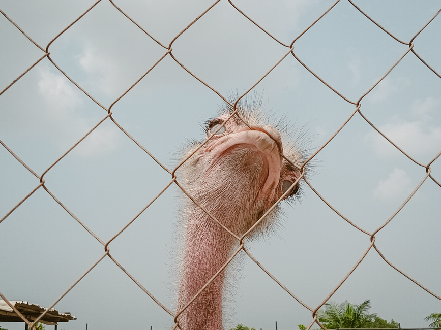 Wildlife Park Lagos