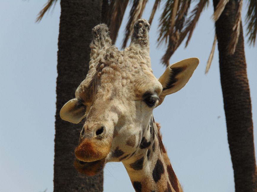 Zoo de Jerez