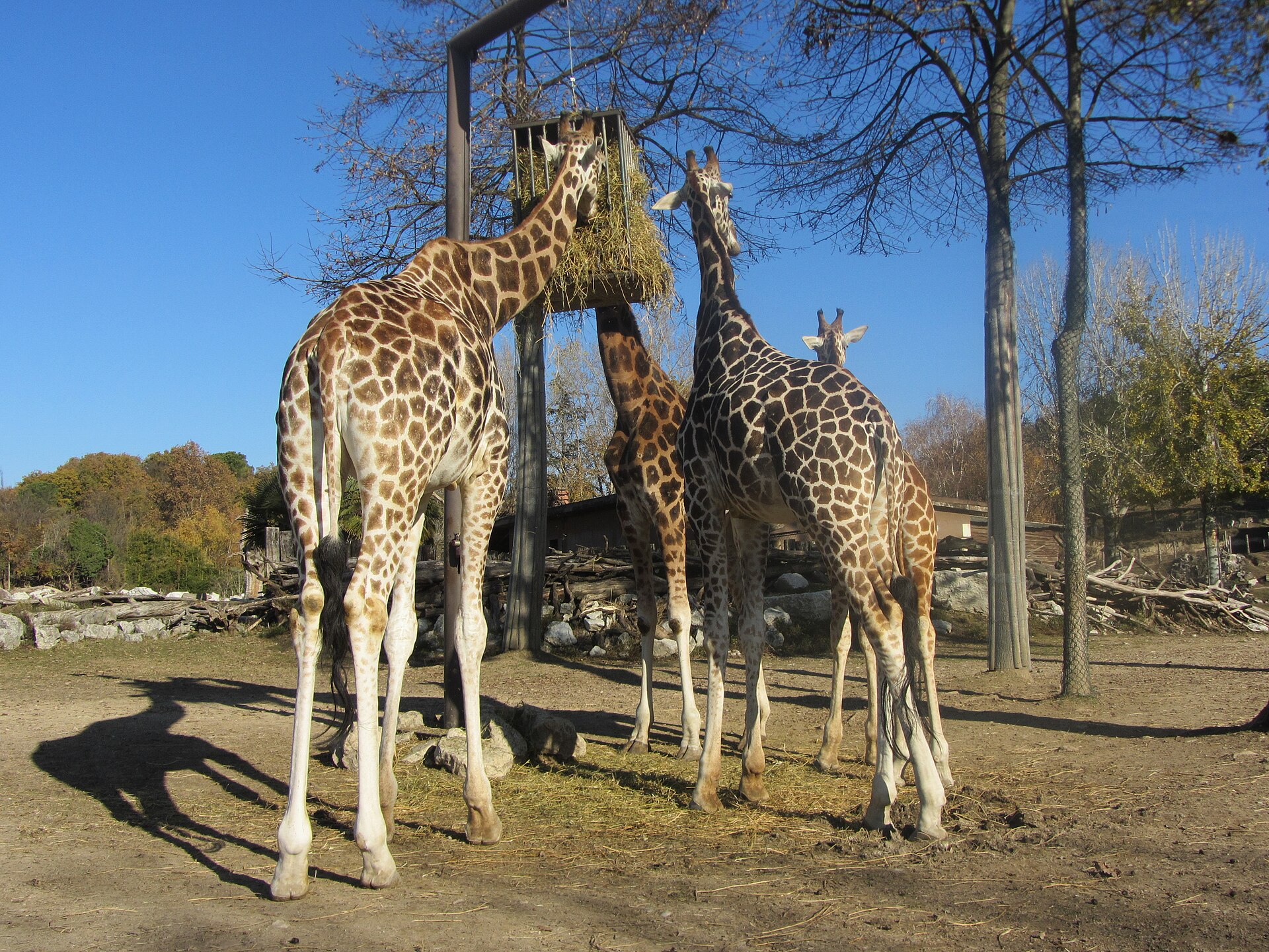 Parco Natura Viva