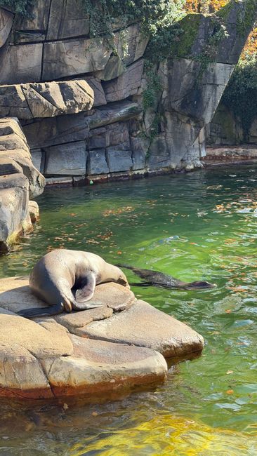 Zoo Basel