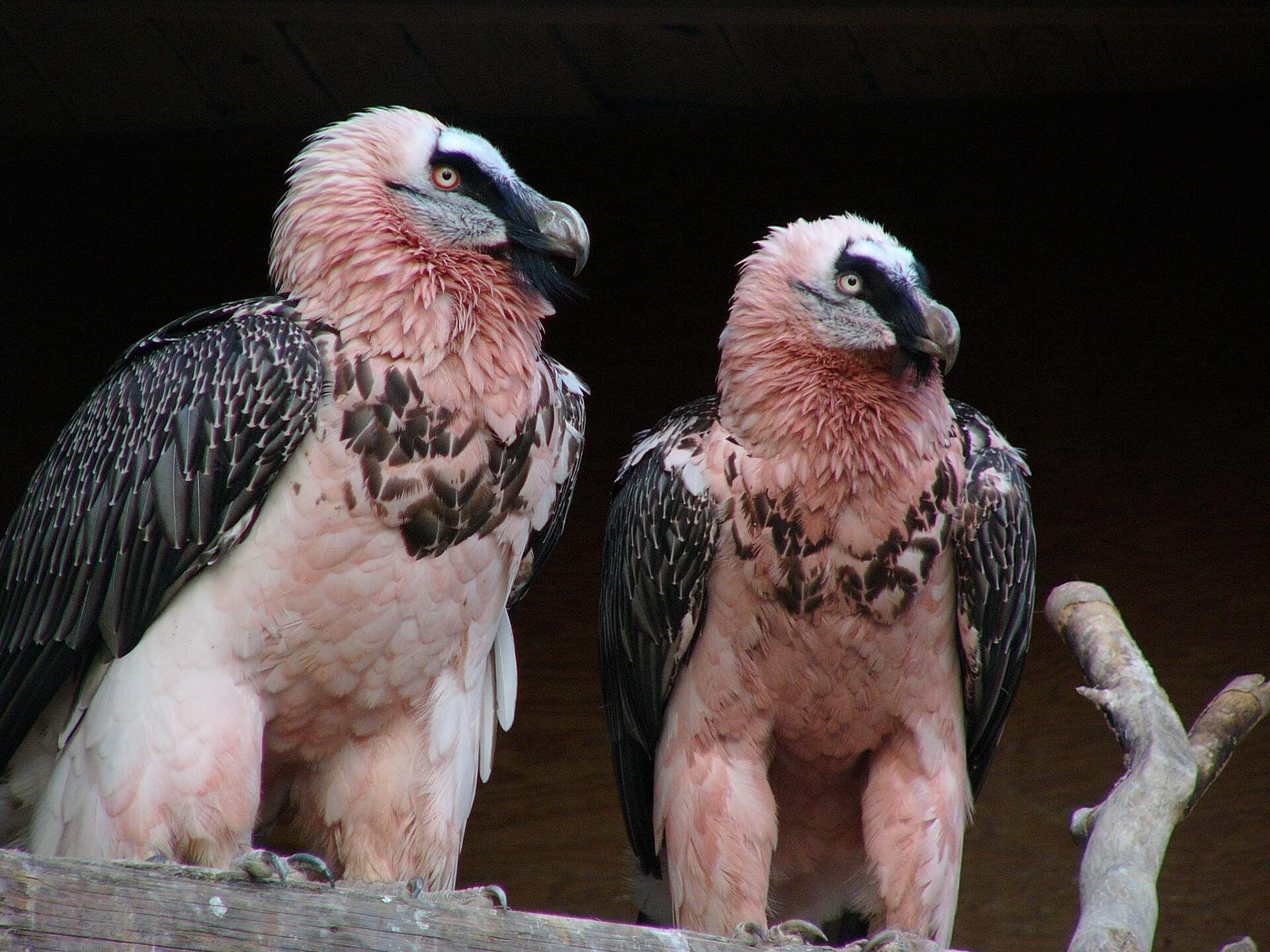 Zoo La Garenne