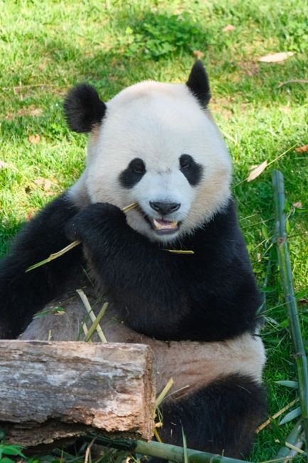 National Zoo
