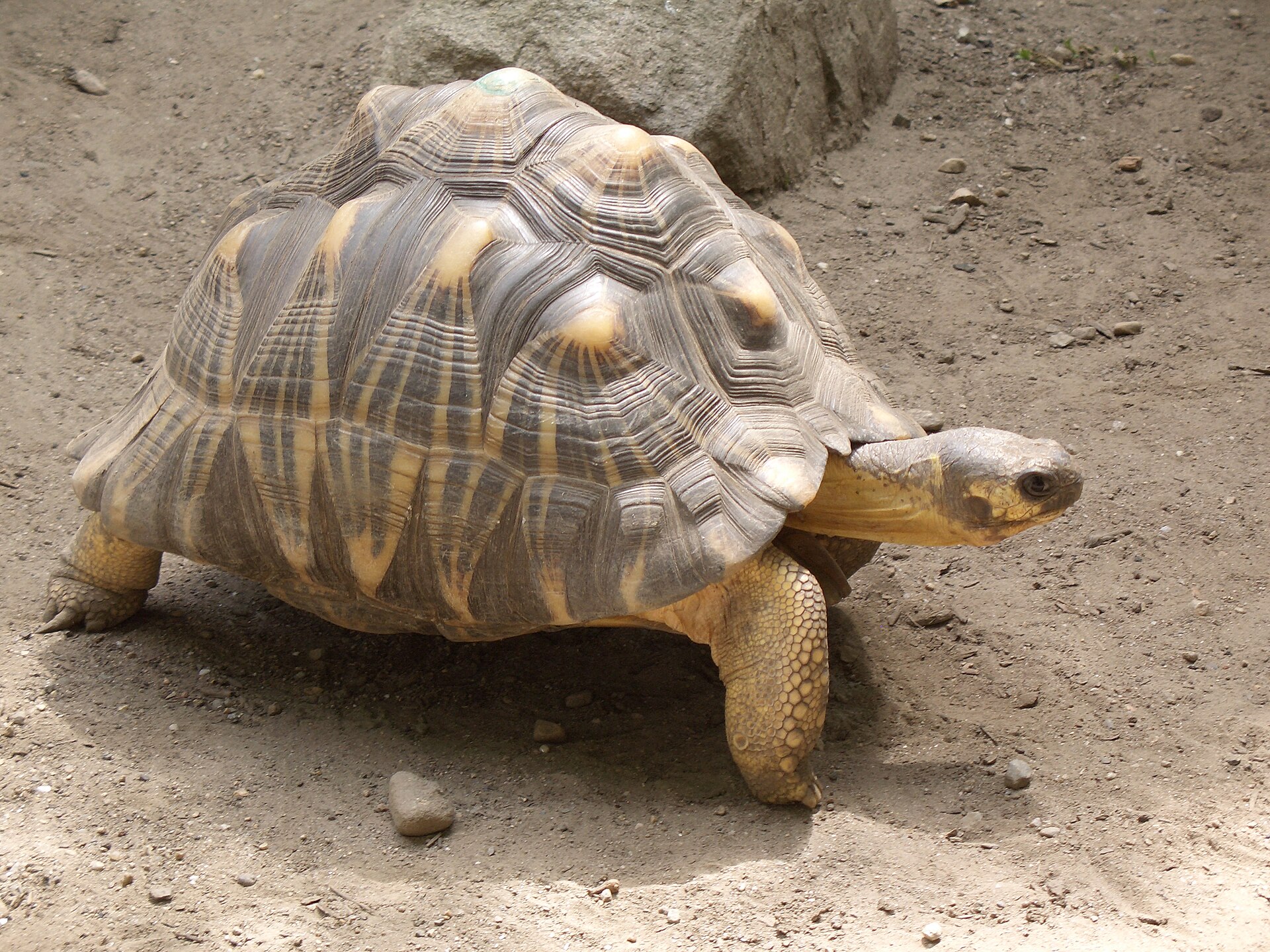 Roger Williams Park Zoo