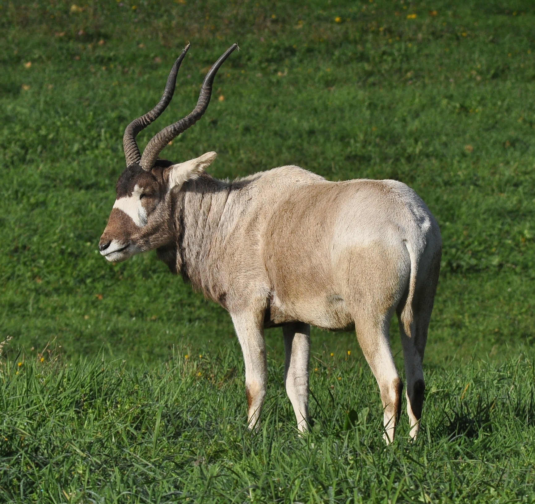 Greater Vancouver Zoo