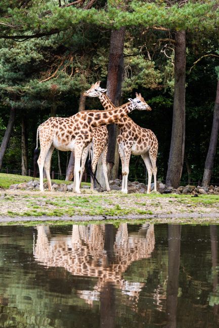 Burgers' Zoo