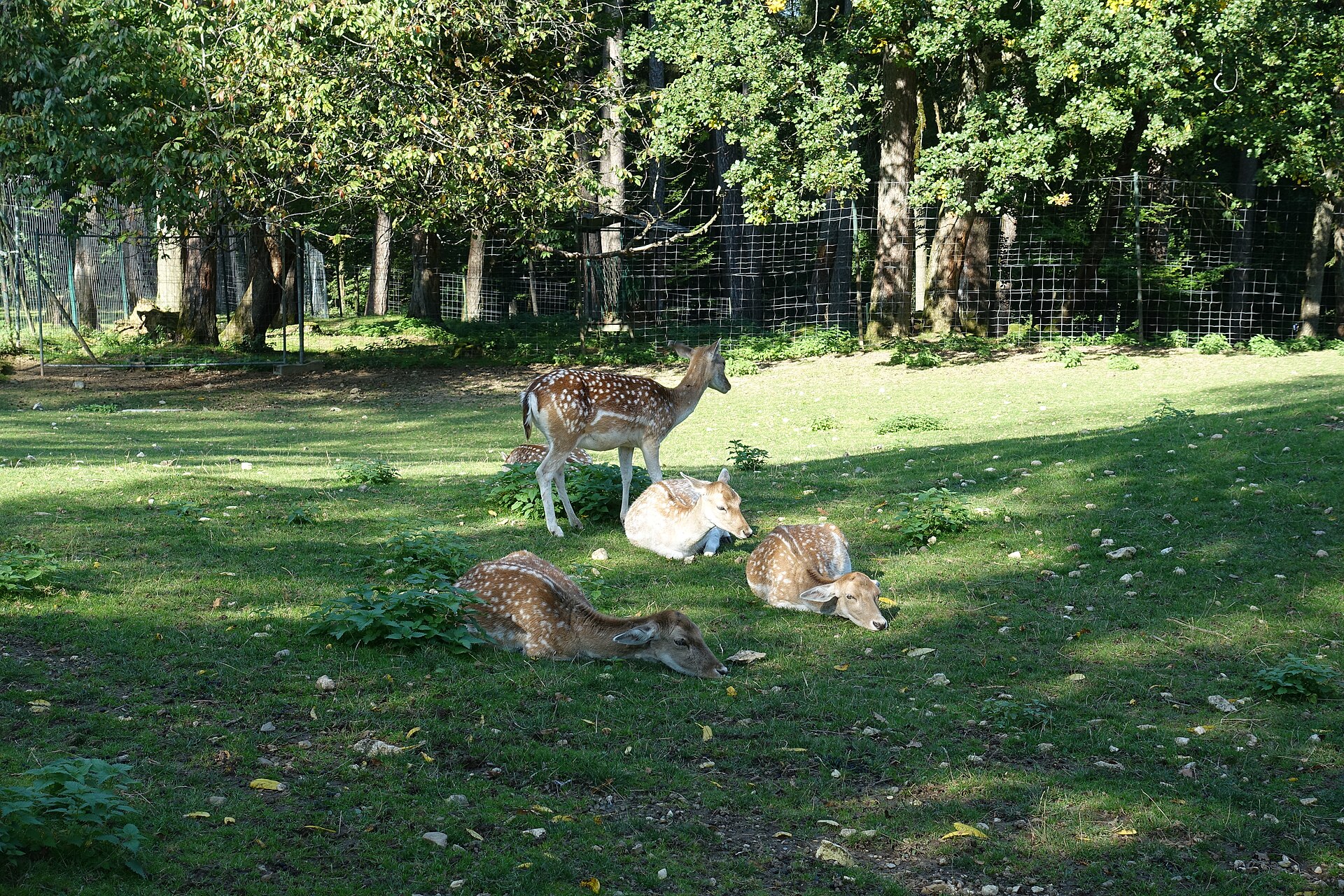 Parc Animalier de la Grande Jeanne