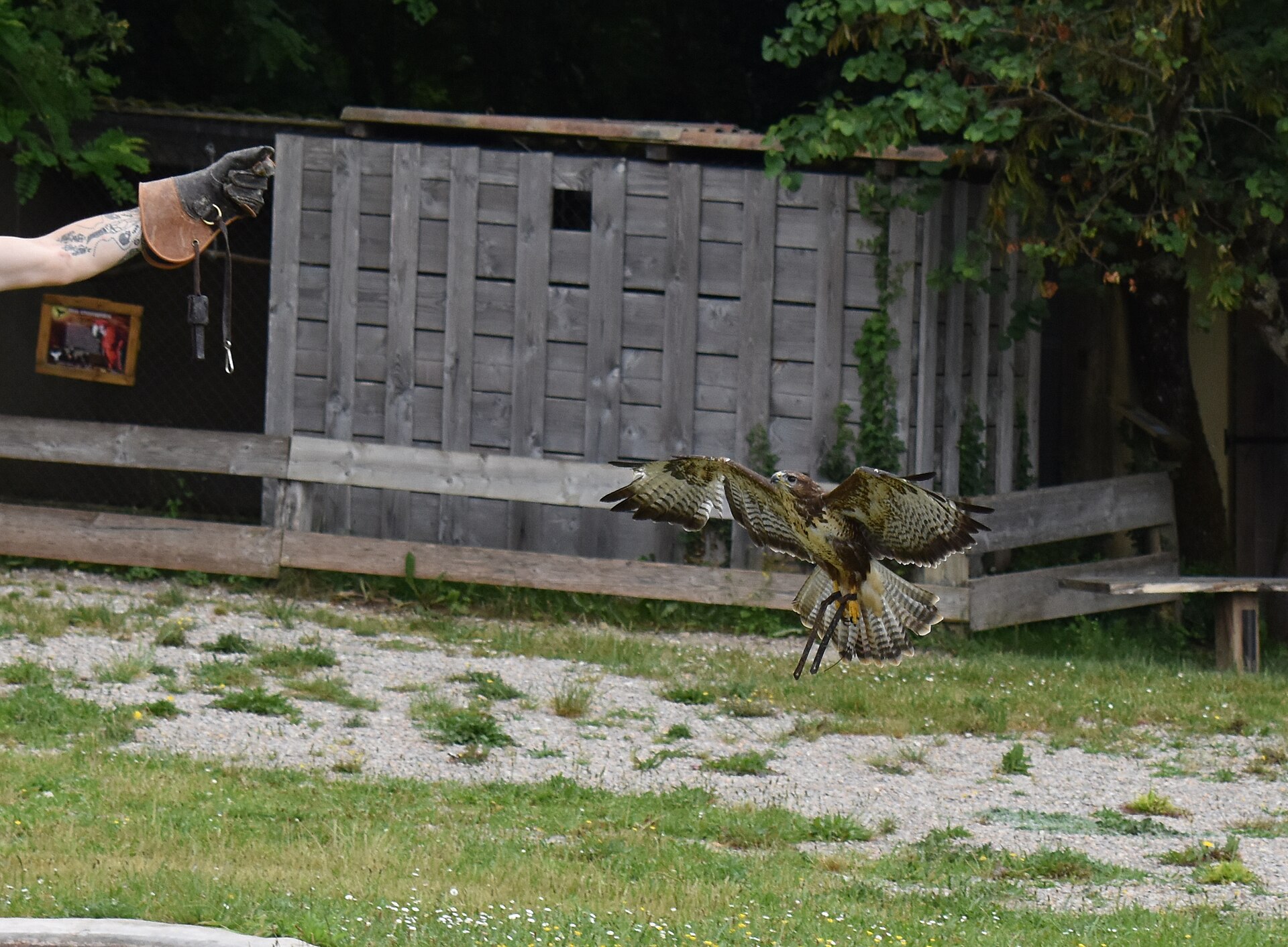 Le Rocher des Aigles