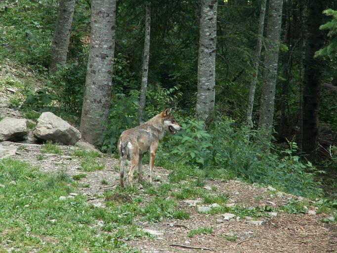Parc Alpha
