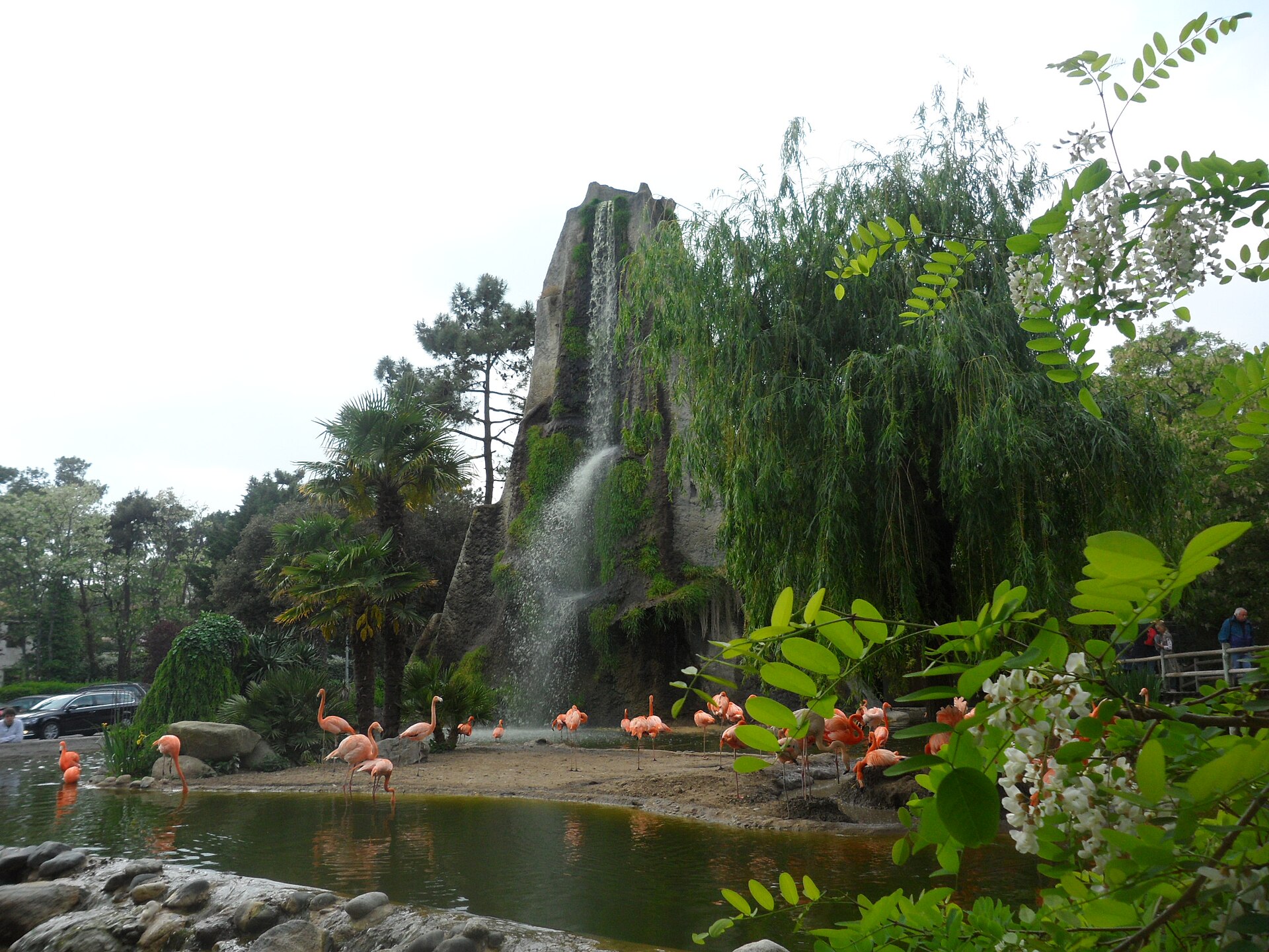 La Palmyre Zoo